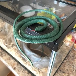 Super Large Green Snake Rubber and Flexible